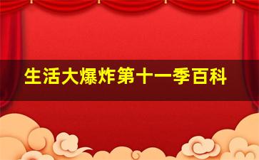 生活大爆炸第十一季百科