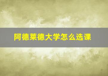 阿德莱德大学怎么选课